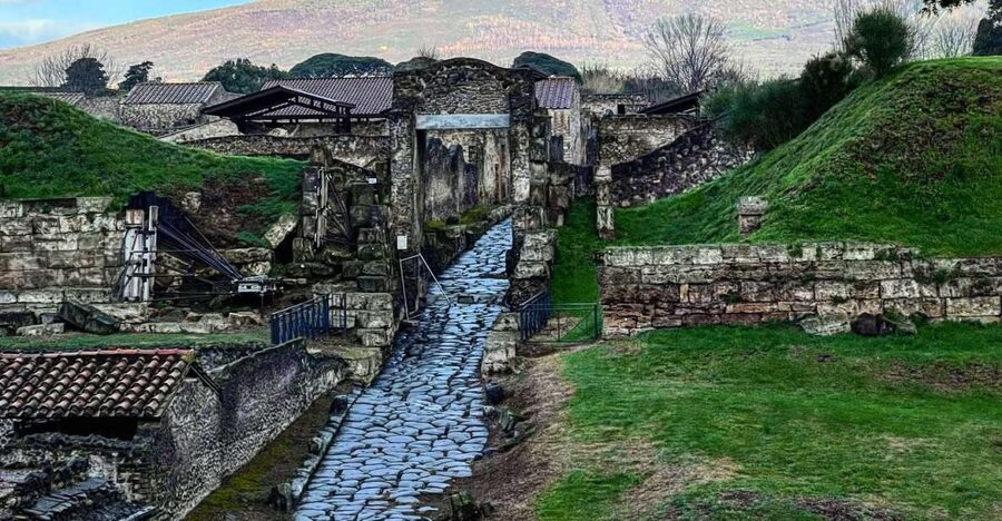 From Sorrento: Pompeii and Vesuvius Skip-the-Line Tour - Small group comfort and the real payoff of skip-the-line