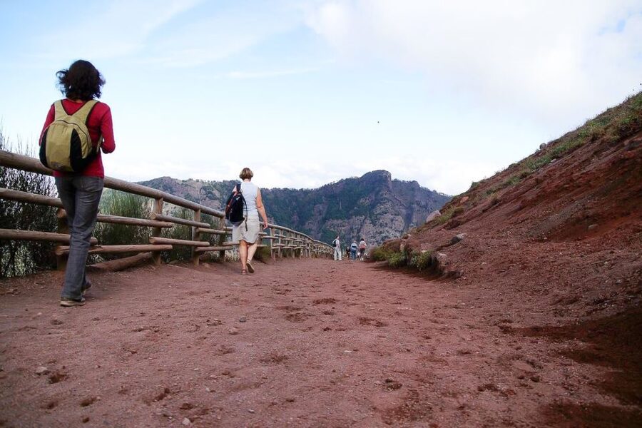From Sorrento: Pompeii and Vesuvius Tour - Should you book? My practical recommendation