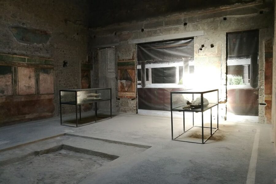 From Sorrento: Pompeii and Vesuvius Tour - Pompeii with an authorized guide: what you see and what you might miss