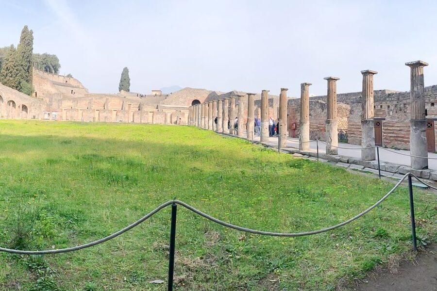 From Sorrento: Pompeii and Vesuvius Tour - Who makes it work: guides and the bus driver on winding roads