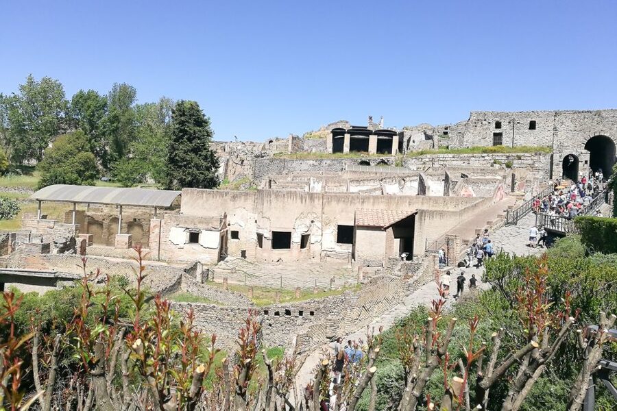 From Sorrento: Pompeii and Vesuvius Tour - Price and value: is $135.94 fair for a full day?