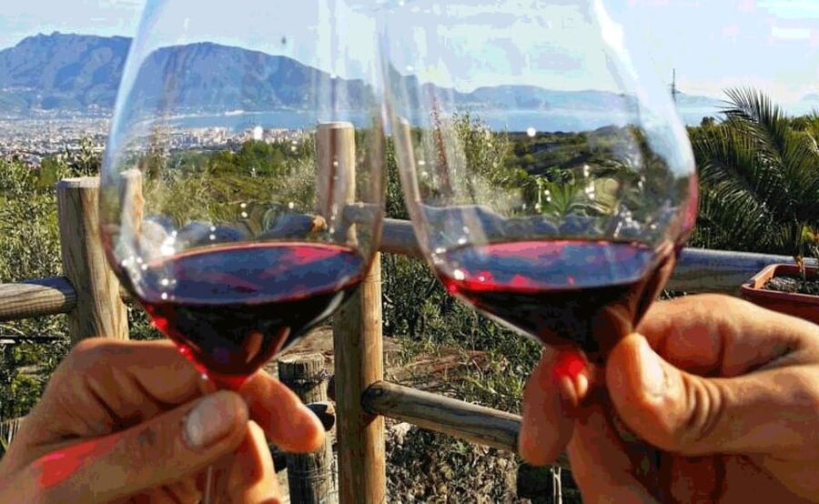 From Sorrento: Skip-the-Line Pompeii Tour and Vineyard Lunch - Who This Tour Fits Best (and Who Should Look Elsewhere)