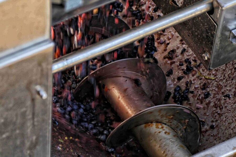 From Sorrento: Winery Tour, Tasting & Lunch - The private winery ride and what the setting means for your lunch