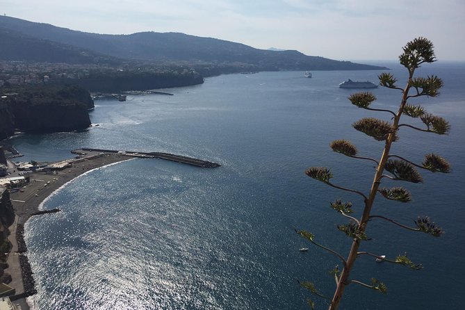 Full Day Private Sorrento & Amalfi Coast Tour from Positano - Duomo di SantAndrea in Amalfi: A Short Stop With Strong Visual Payoff