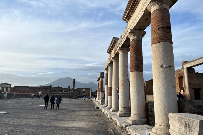 Full Day Private Tour to Pompeii, Herculaneum and Oplontis - How the 7 to 8 Hours Really Fits Three Sites