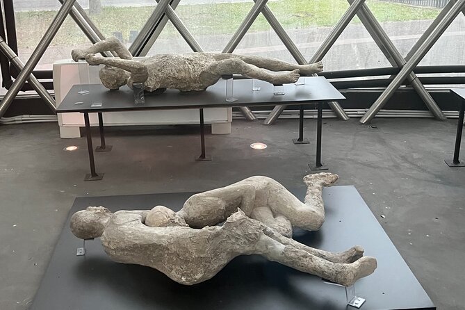 Full Day Private Tour to Pompeii, Herculaneum and Oplontis - Who This Tour Fits Best