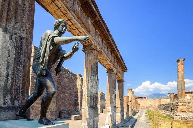 Full Day Small Group Pompeii Tour from Sorrento with Local Wine Tasting - Bosco de’ Medici: lunch with four wines and Mount Vesuvius views