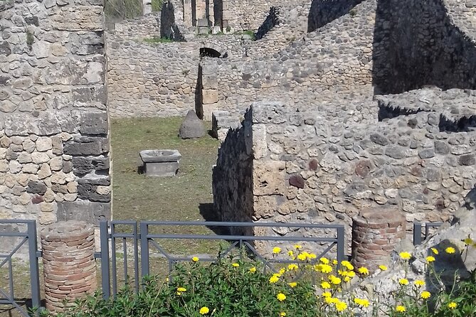 Full Day Tour Pompeii–Sorrento -Positano - What you are paying for, and where extra costs show up