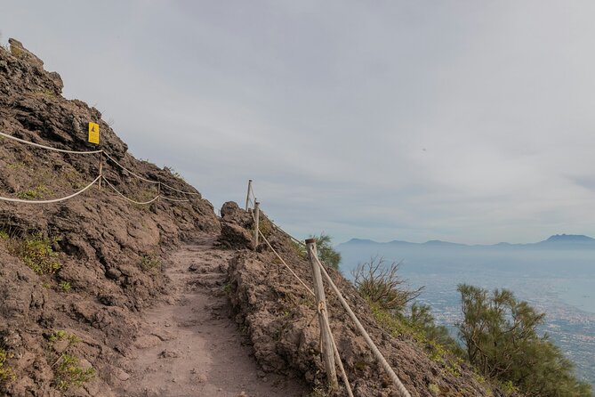 Full Day Tour to Pompeii, Vesuvius and Wine Tasting - How private transport makes the day feel easier