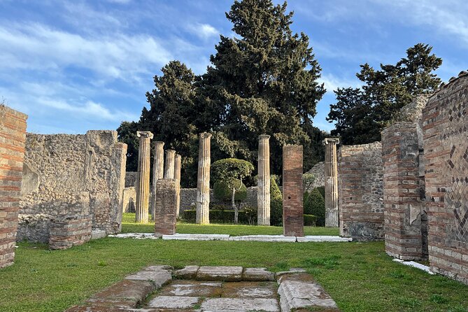 Full Day Tour to Pompeii, Vesuvius and Wine Tasting - The realistic schedule: where time goes in 7 to 8 hours