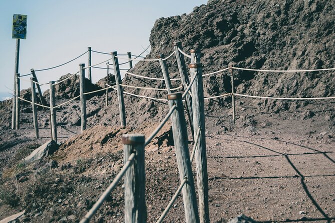 Full Day Tour to Pompeii, Vesuvius and Wine Tasting - Who should book this tour, and who might not