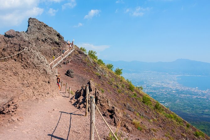 Full Day Tour to Pompeii, Vesuvius and Wine Tasting - The winery stop at Bosco de Medici: lunch views and a tasting that costs extra