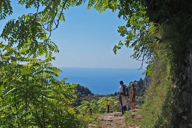 Gastronomic Hike on the Path of the Gods with Food Tasting - What You Actually Eat: From Farm Mozzarella to Tiramisù