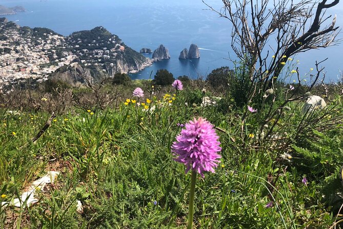Gastronomic Hike on the Path of the Gods with Food Tasting - Wine on the Route: Included, But Not for Everyone