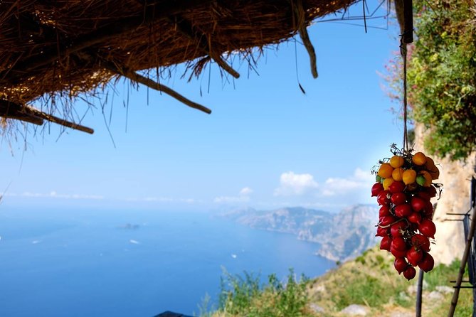 Guided Day Hike on the Path of the Gods with Sorrento Transfer - Key Highlights You Should Care About