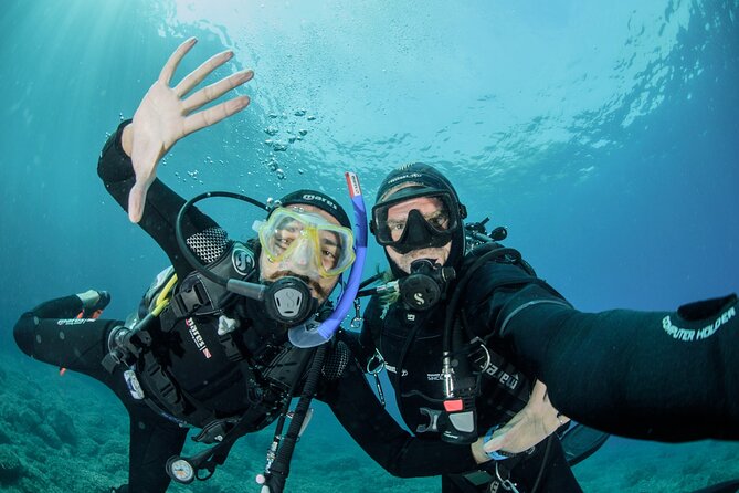 Guided diving for beginners without certification from Sorrento - Key Highlights You’ll Feel Immediately