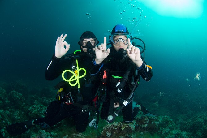 Guided diving for beginners without certification from Sorrento - Meeting in Sorrento, and Why the 8:00 am Start Matters