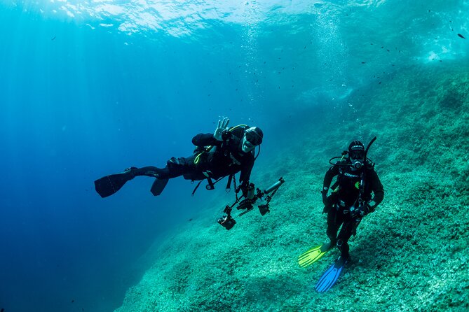 Guided diving for beginners without certification from Sorrento - Second Underwater Session (Up to 12 Metres): More Time, More Variety