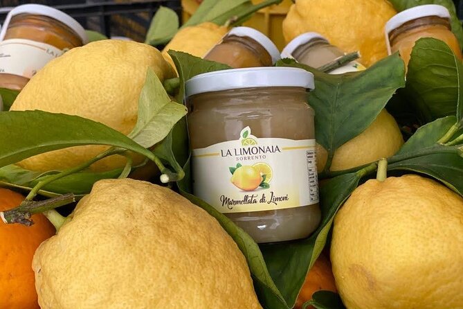 Guided tour of a historic lemon grove in Sorrento - Should you book La Limonaia’s historic lemon grove tour?