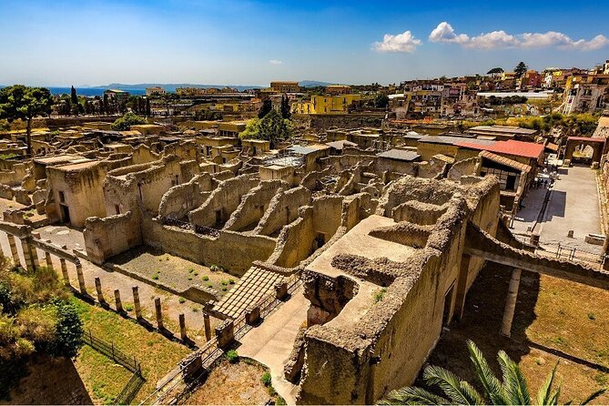 Guided Tour of Herculaneum with Lunch and Ticket Included - Key Highlights Worth Knowing