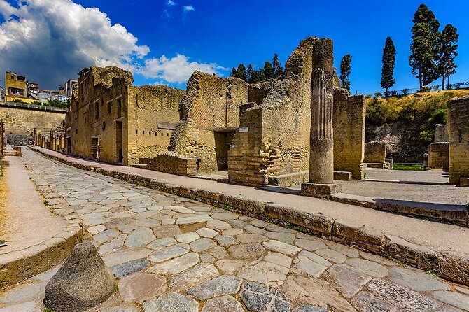 Guided Tour of Pompeii and Herculaneum with Lunch and Ticket - Sorrentino Winery lunch and wine tasting: the break that makes the rest work