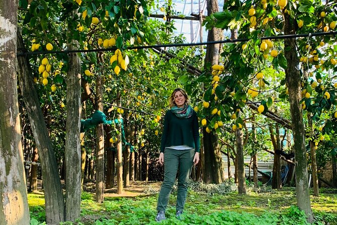 Guided tour of the history and tradition of the Sorrento lemon - Key Highlights You’ll Care About