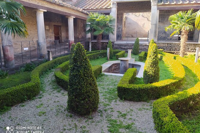 Guided Tours of Pompeii Excavations Historical and Cultural Itineraries - Key things to know before you go
