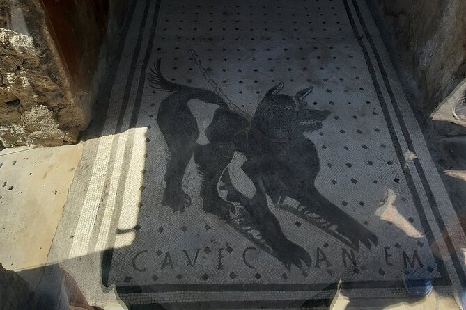 Guided Tours of Pompeii Excavations Historical and Cultural Itineraries - Who This Tour Fits Best