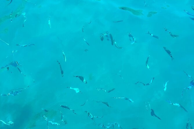 Half-Day Amalfi Coast Boat & Snorkeling Small Group Tour - Atrani and the Waterfalls of Marmorata
