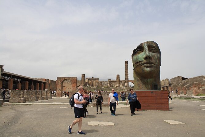Half-Day Exclusive Private Tour of Pompeii and Herculaneum - Price and value: paying for private depth in a short window