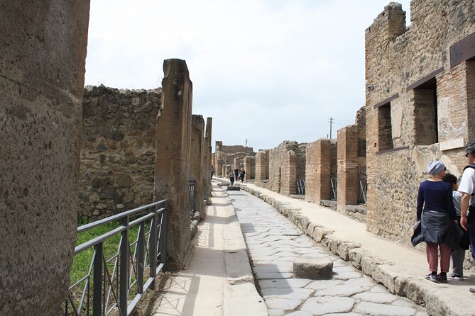 Half-Day Exclusive Private Tour of Pompeii and Herculaneum - Practical tips so your half day feels smooth