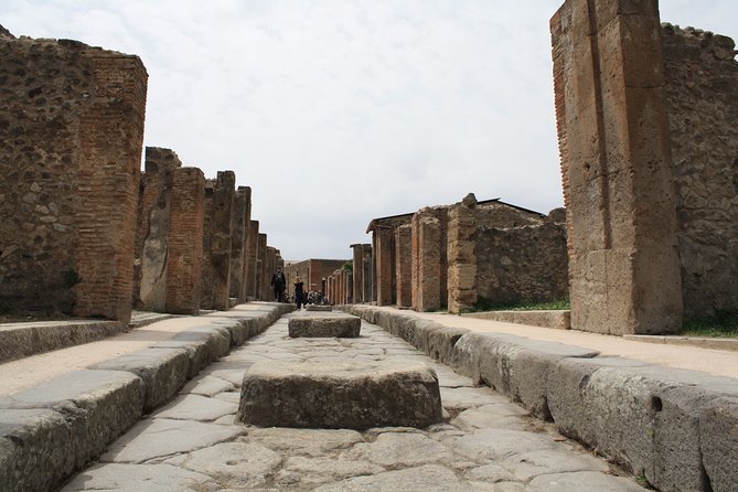 Half-Day Exclusive Private Tour of Pompeii and Herculaneum - Should you book this Pompeii and Herculaneum private tour?