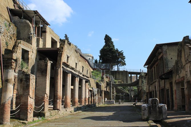 Half Day Herculaneum from Sorrento - Who This Half-Day Herculaneum Tour Fits Best