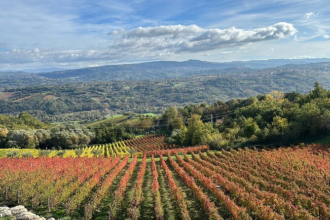 Half-Day Irpinia Wine Tour from SALERNO - Your guide on wheels: English help, real flavor talk