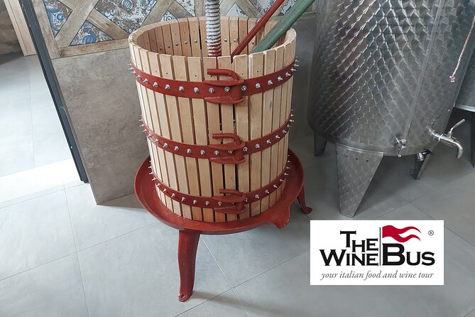 Half-Day Irpinia Wine Tour from SALERNO - The URCIUOLO VINI visit: vineyard walk, tanks, and barrel reality