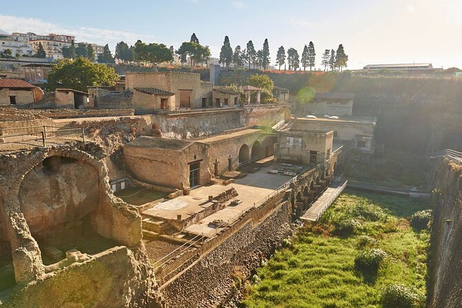 Half Day Morning Tour of Herculaneum from Sorrento - Herculaneum’s Preserved Details You Should Hunt For