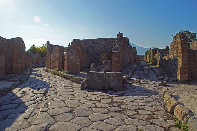 Half Day Morning Tour of Pompeii from Sorrento - Price and Value: Is 80.68 a Good Deal?