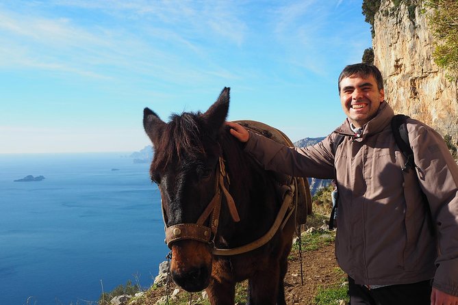 Half-Day Private Amalfi Coast Path of the Gods Hike with Lunch - Price and value: what you’re really paying for