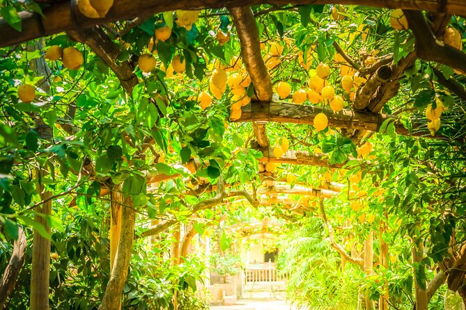 Hands-On Cooking Class & Farmhouse Tour on the Amalfi Coast - Recipes and a cooking diploma: your ticket to repeatable results