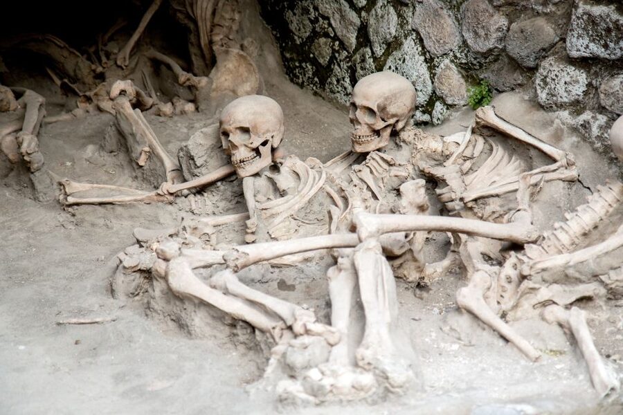 Herculaneum: 2-Hour Skip-the-Line Tour from Sorrento - Food, water, and the no-café surprise on site