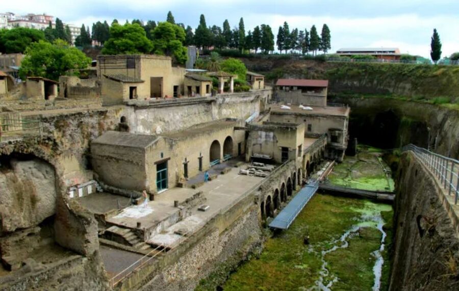 Herculaneum: 2hour Shared Guided Tour + entry tickets - Price and Logistics: Does $46 Feel Fair for 2 Hours?