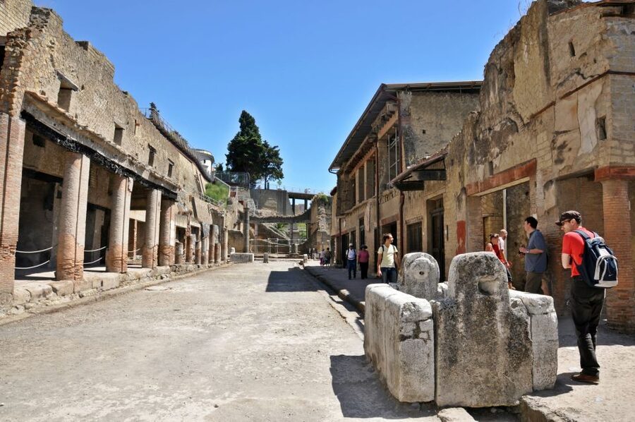 Herculaneum: Half-Day Guided Trip from Naples - The Houses: What You Learn From Floor Mosaics and Room Layouts