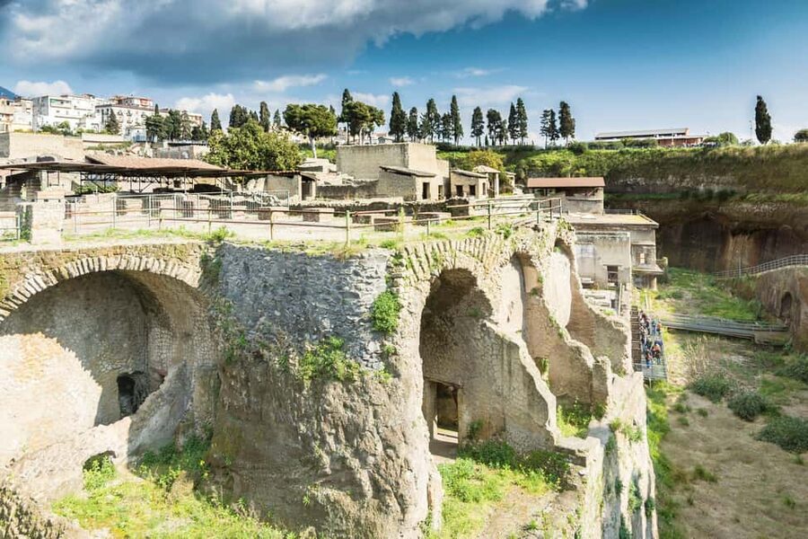 Herculaneum: Private Tour with Driver from Naples - Local Guides and Languages: Getting the Most From English