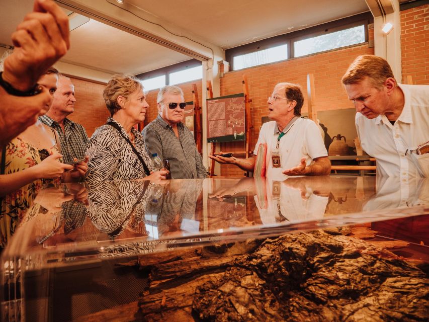 Herculaneum: Private Walking Tour with Archeologist Guide - Why Herculaneum feels different after Vesuvius