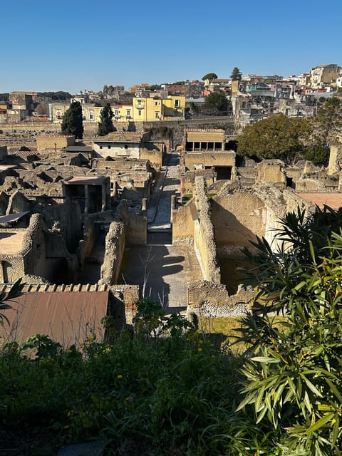 Herculaneum - Small Group Tour (admission included) - Price: is $75 worth it for a 2-hour guided visit?