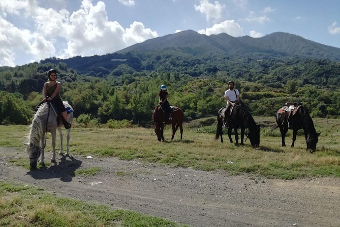 Horse Riding on Mount Vesuvius - Getting to Pollena Trocchia and the ranch area