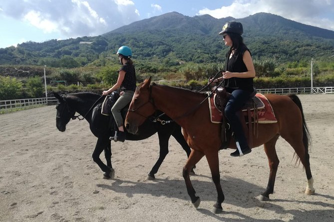 Horse Riding on Mount Vesuvius - Price and timing: does $84.48 feel fair?