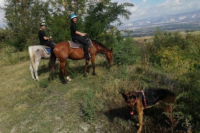 Horse Riding on Mount Vesuvius - Who should book this horseback ride?