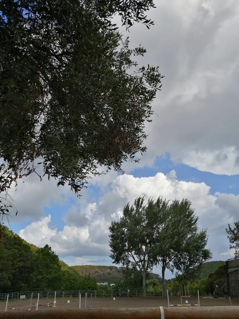 Horseback excursion in the Maddalena woods - Mount Rotaro and the extinct volcano story you can actually see
