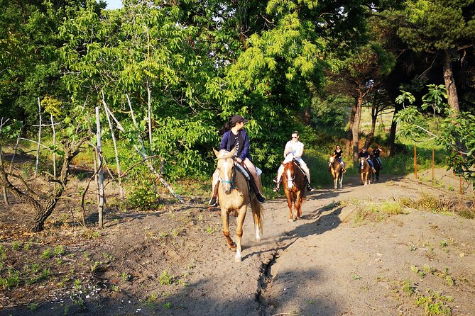 Horseback Riding on Vesuvius - Views and scenery: Mt. Vesuvius, Naples bay, and vineyards